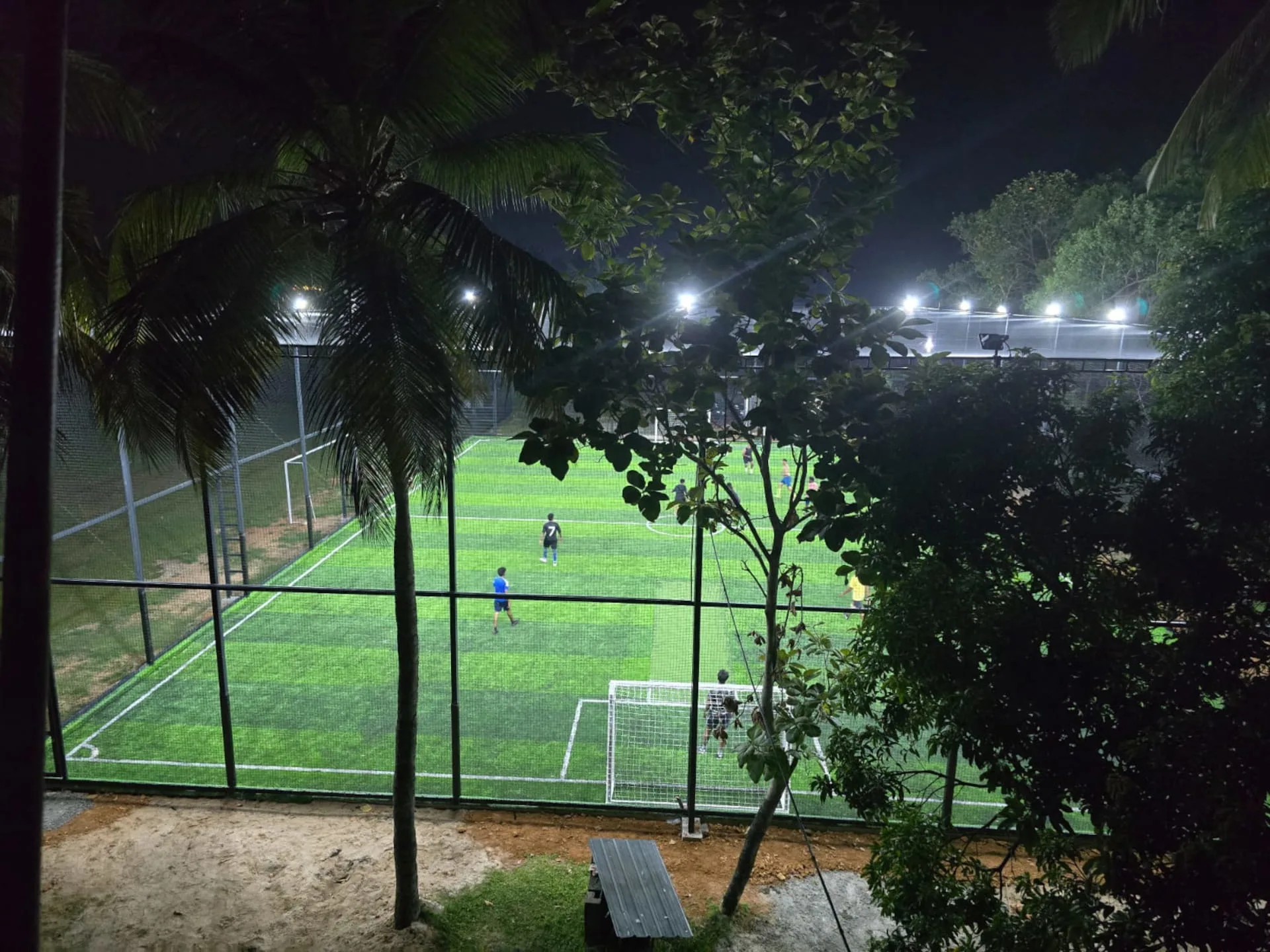 6S Turf view 1