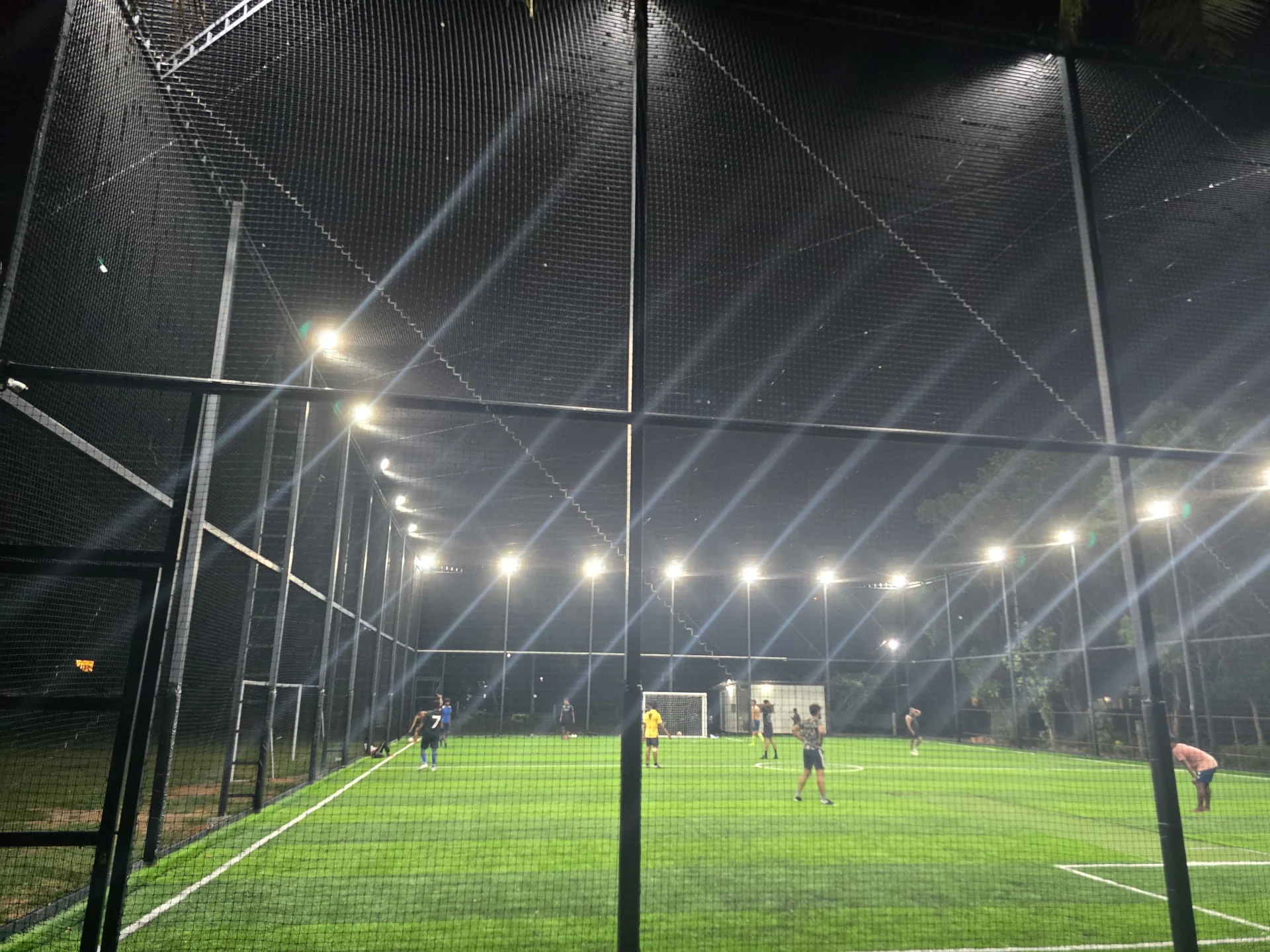 6S Turf view 2