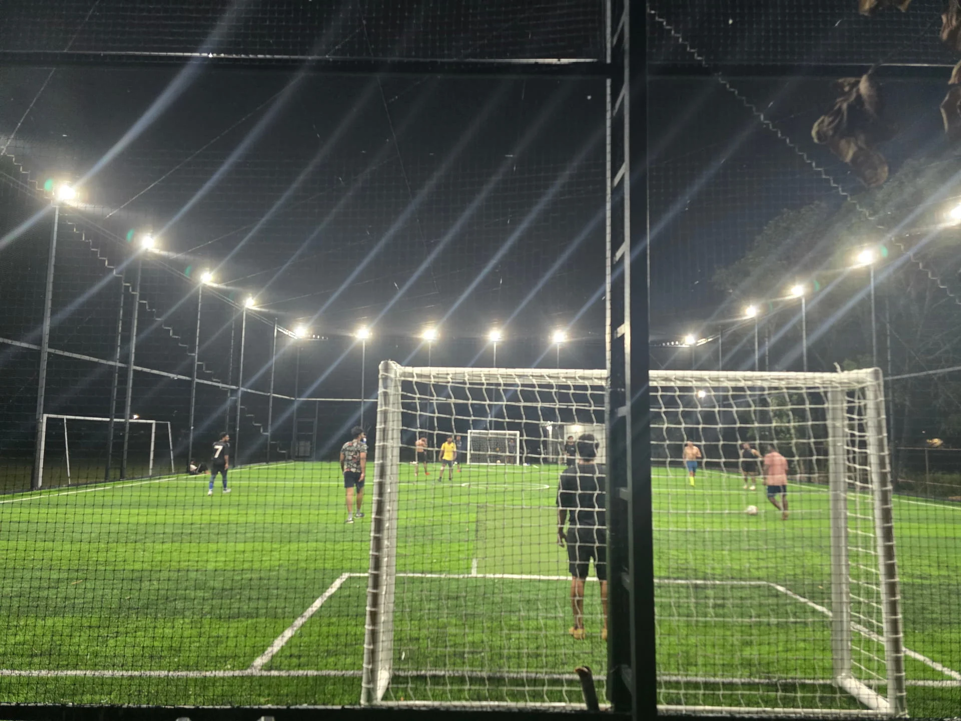 6S Turf view 3